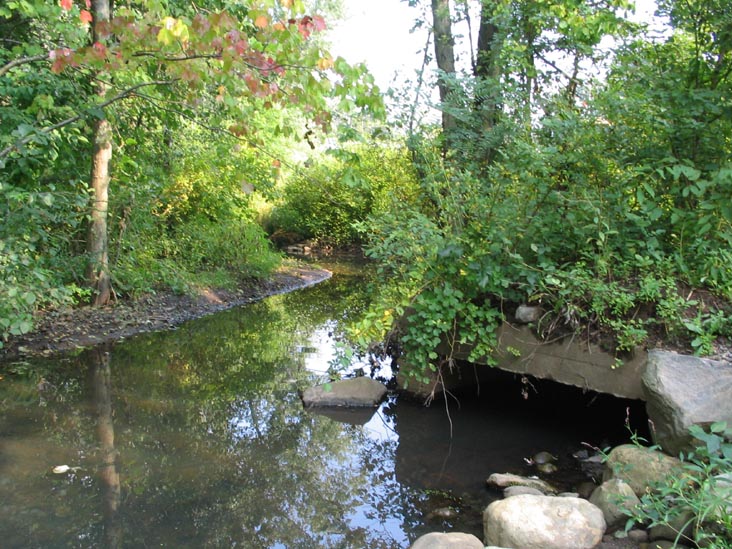 Mill Pond, Red Trail, Staten Island Greenbelt, Staten Island