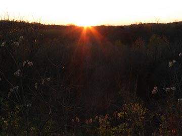 Sunset from the Base of Moses' Mountain, Staten Island Greenbelt