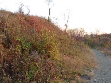 Moses' Mountain (made from fill from the Aborted Richmond Parkway Project), Staten Island Greenbelt