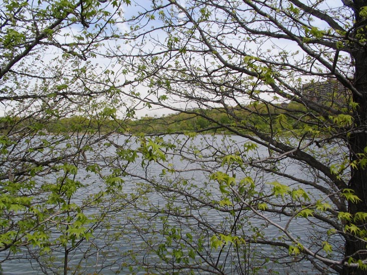 Reservoir, Silver Lake Park, Staten Island