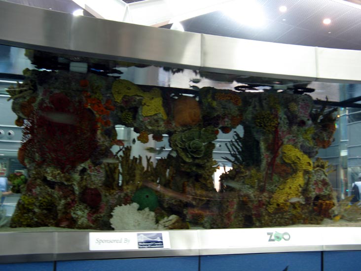 Fish Tank, Ferry Terminal, St. George, Staten Island, June 8, 2008, 2:57 a.m.