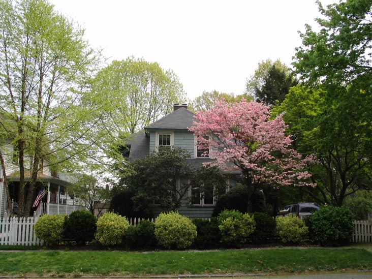 Bard Avenue Across From Walker Park, Livingston, Staten Island