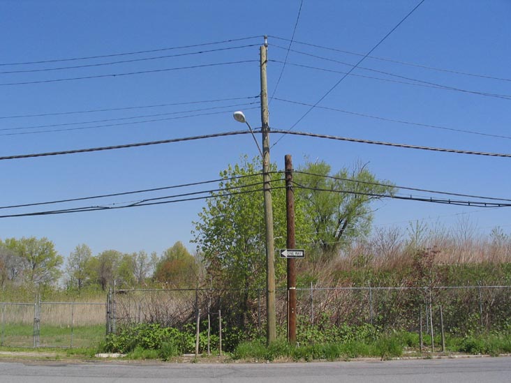 Forest Avenue, Across From Joseph Manna Park, Staten Island