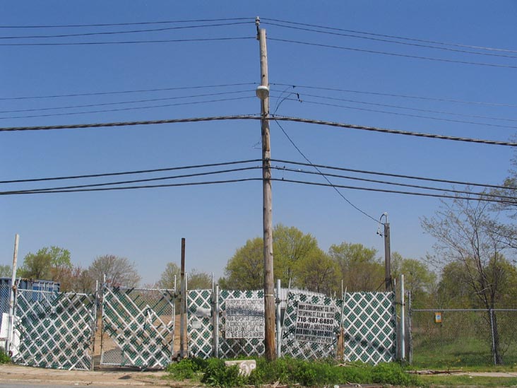 Forest Avenue Across From Joseph Manna Park, Staten Island