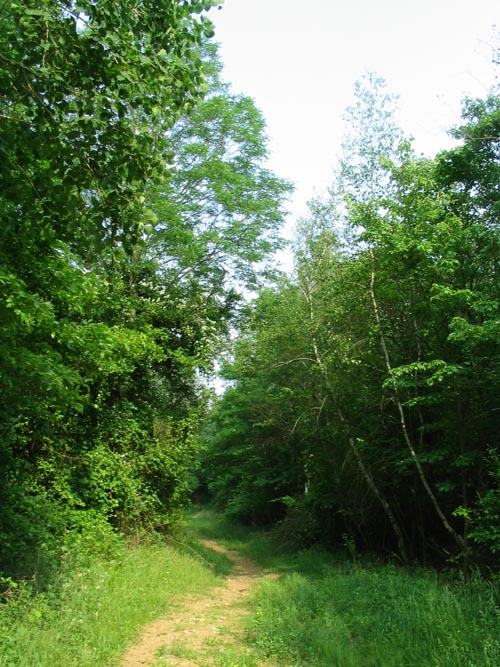 Sharrotts Pond Horse Trail, Clay Pit Ponds State Park Preserve, Charleston, Staten Island