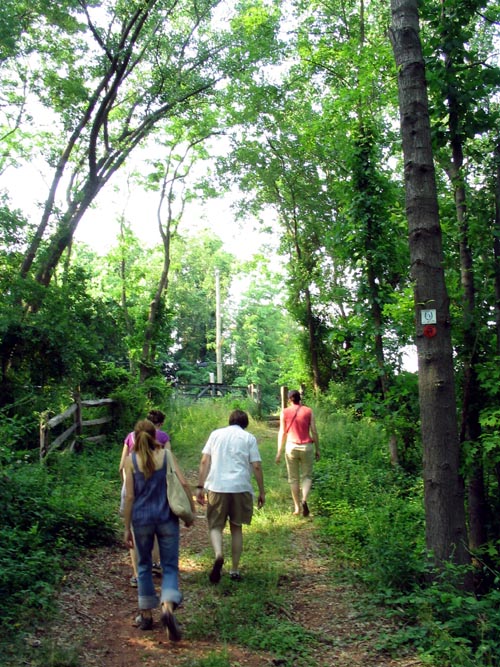 Sharrotts Pond Horse Trail, Clay Pit Ponds State Park Preserve, Charleston, Staten Island