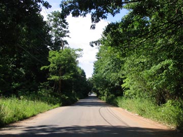 Joline Avenue, Conference House Park, Staten Island