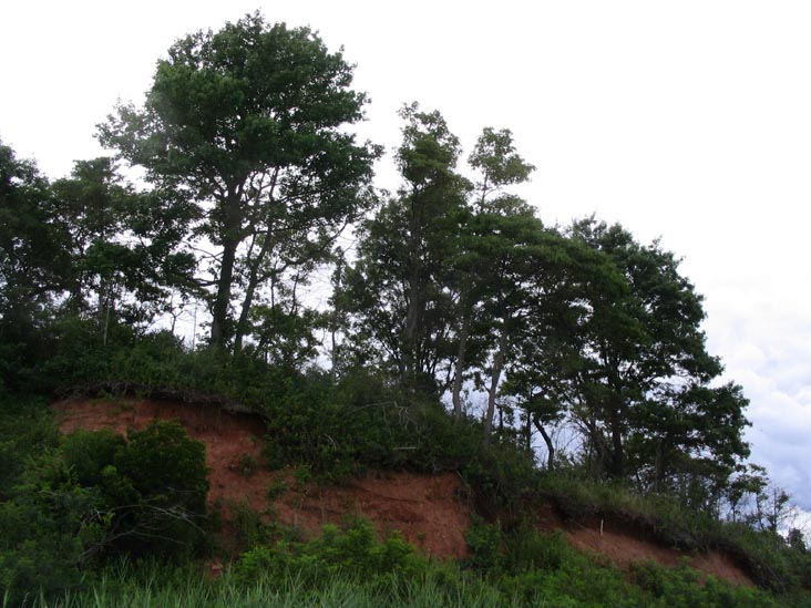 Mount Loretto Unique Area, Staten Island