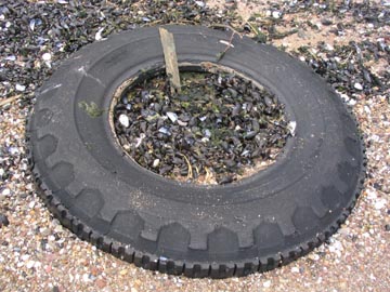 Shorefront, Mount Loretto Unique Area, Staten Island