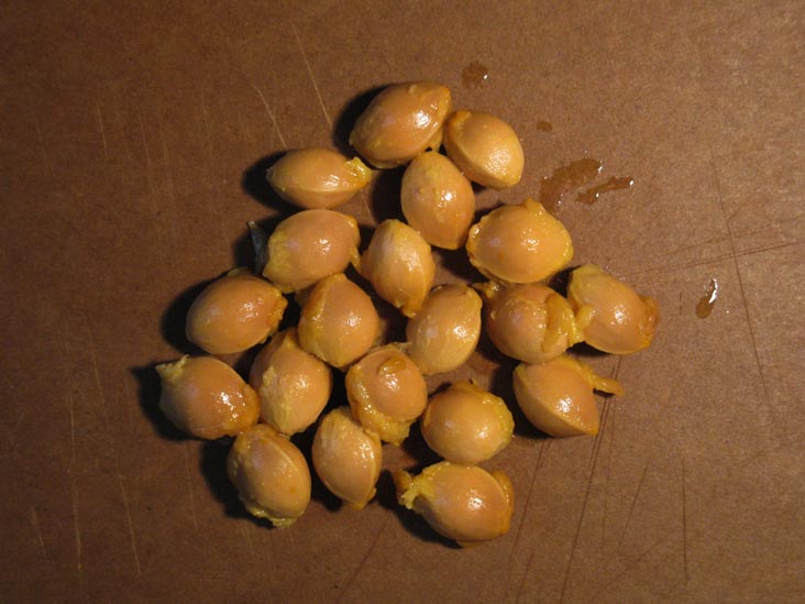 Ginkgo Nuts: Ginkgo Fruit Removed