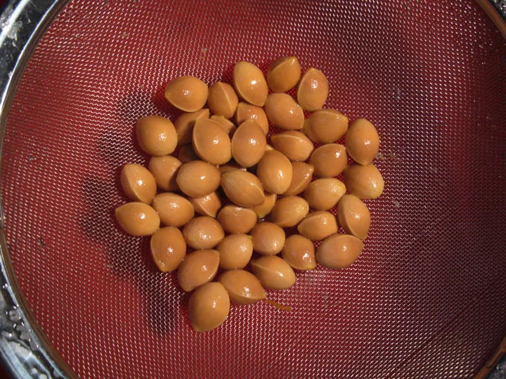 Ginkgo Nuts: Washed Ginkgo Nuts