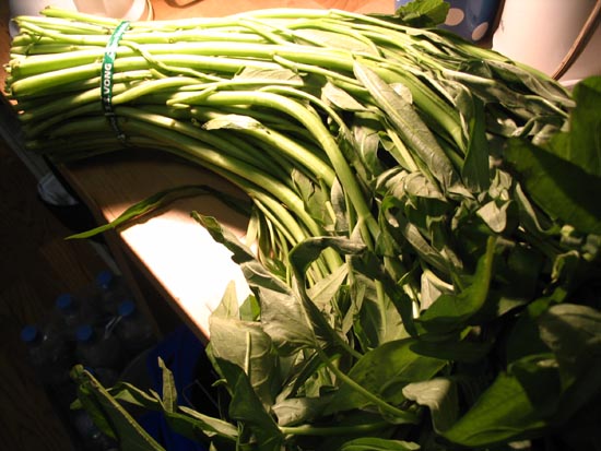 Water Spinach (Hollow Vegetables)