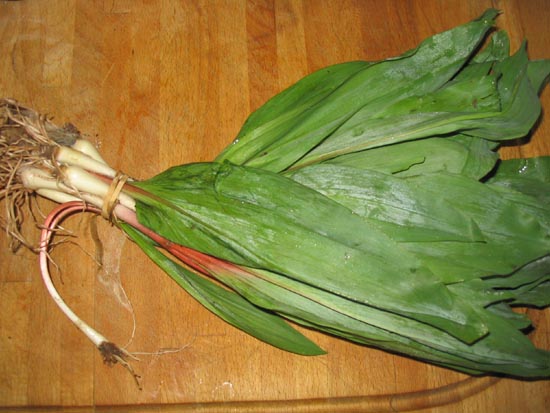 Ramps