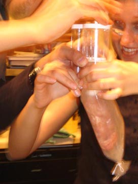 Sausagefest 2004: Stuffing The Casing