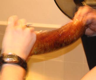 Sausagefest 2004: Cooked Sausage