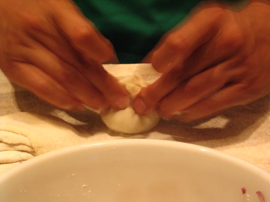 Pork Dumplings: Filling The Dough