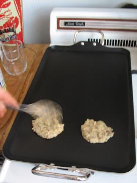 Meta-Latkes: Batter On Griddle