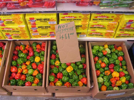 Scotch Bonnet Peppers, A & N West Indian Grocery, 106-17 Liberty Avenue, Richmond Hill, Queens